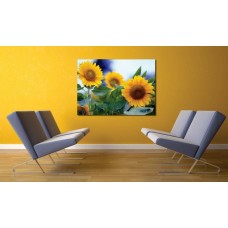 Tablou Canvas Flori Craiova - Camp de floarea soarelui - Persona Design 