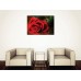Tablou Canvas Flori Craiova - Trandafirul rosu aprins - Persona Design 