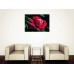 Tablou Canvas Flori Craiova - Trandafirul inflorit - Persona Design 