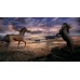 Tablou Canvas Animale Craiova -  Caii din cerul innorat- Persona Design