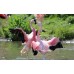 Tablou Canvas Animale Craiova -  Flamingo roz- Persona Design