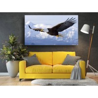 Tablou Canvas Animale Craiova -  I belive I can fly- Persona Design