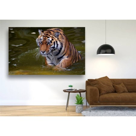 Tablou Canvas Animale Craiova -  Tigrul apelor- Persona Design