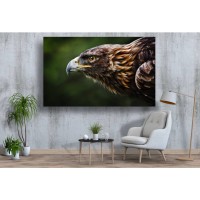 Tablou Canvas Animale Craiova -  Vulturul in atac- Persona Design