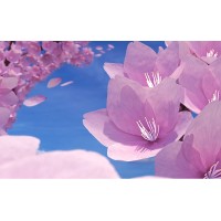 Fototapet Natura Personalizat - Floare Violet