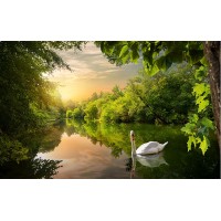 Fototapet Natura Personalizat - Lebada pe Lac