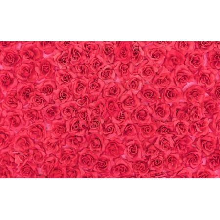 Fototapet Texturi Personalizat - Trandafiri Rosii